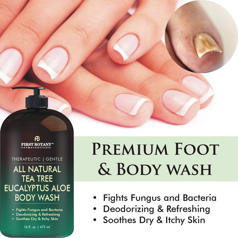 ALL Natural Tea Tree Body Wash - Fights Body Odor, Athleteâ€™s Foot, Jock Itch, Nail Issues, Dandruff, Acne, Eczema, Yeast Infection, Shower Gel for Women & Men, Eucalyptus Aloe Skin Cleanser -16 fl oz