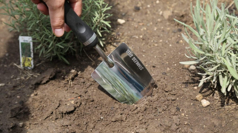 Edward Tools Bend-Proof Garden Trowel - Heavy Duty Polished Stainless Steel - Rust Resistant Oversized Garden Hand Shovel for Quicker Work - Digs Through Rocky / Heavy soils - Comfort Grip (1) 1