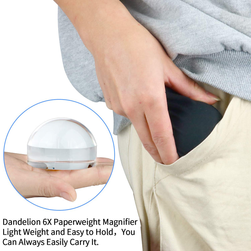 Dandelion 6X Dome / Paperweight Magnifier w/ Pouch Table Magnifying