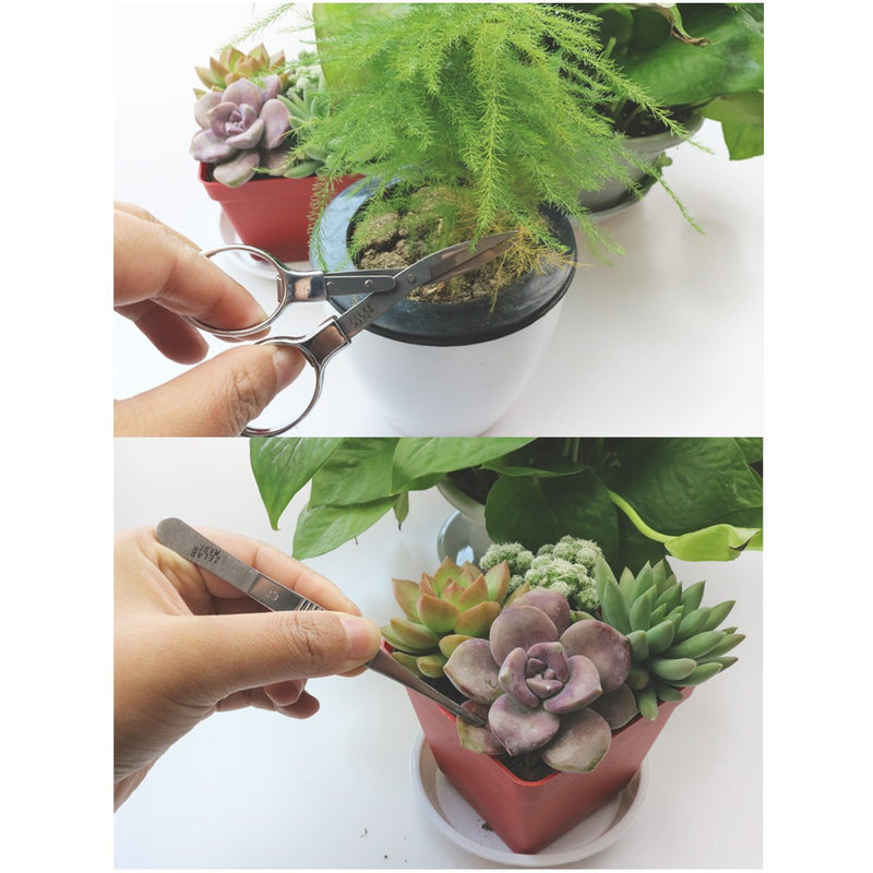 Bonsai Set 8 Pcs - Include Pruner,Fold Scissors,Mini Rake,Bud & Leaf Trimmer Set by ZELAR Made