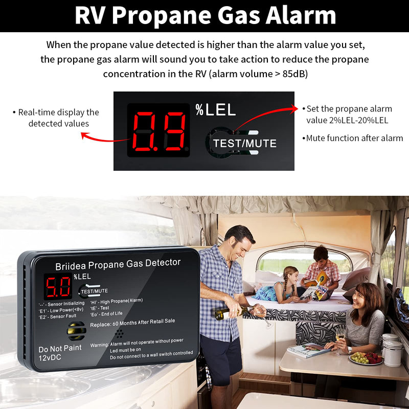 RV Propane Alarm, Briidea Propane Gas Detector with 85dB Loud Alarm, 12 VDC, Black