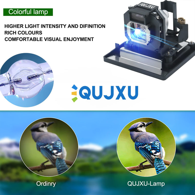 QUJXU ET-LAE1000 Replacement Projector Lamp with Housing for PANASONIC PT-AE1000 PT-AE1000E PT-AE1000U PT-AE2000 PT-AE2000E PT-AE2000U PT-AE3000 PT-AE3000U TH-AE1000 TH-AE3000 Projector lamp Bulb