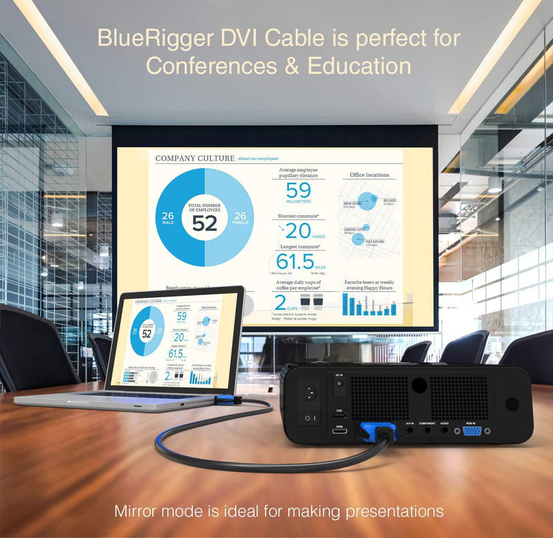 BlueRigger DVI to DVI Monitor Cable (6FT, 24+1 Dual Link, Digital Video Cable, Male to Male) - for Gaming, DVD, Laptops, HDTV and Projector 6FT Black