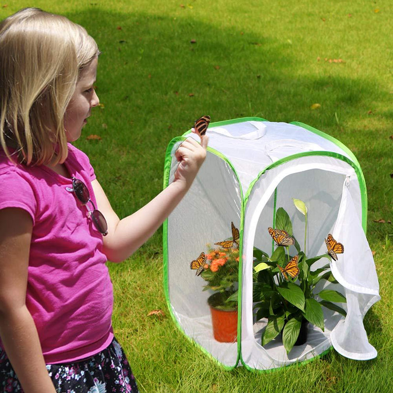 RESTCLOUD Insect and Butterfly Habitat Cage Terrarium Pop-up 23.6 Inches Tall 1 White With Green 15.7 x 15.7 x 23.6 inches