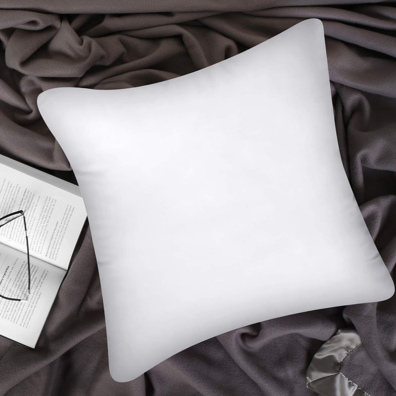 Utopia Bedding Throw Pillows Insert (Pack of 2, White) - 12 x 12 Inches Bed and Couch Pillows - Indoor Decorative Pillows