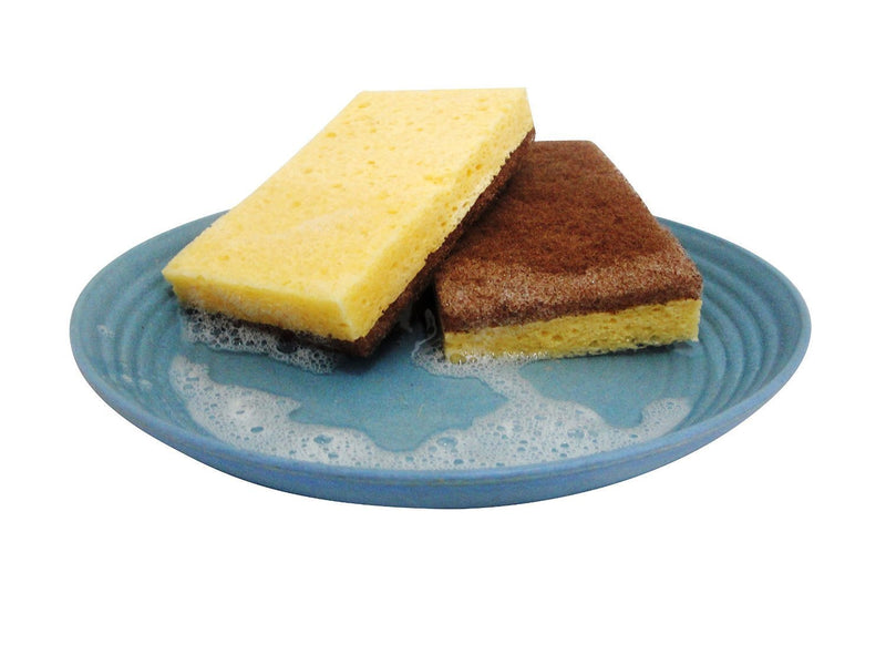 Full Circle In a Nutshell Walnut Scrubber Sponges, Non-Scratch, Set of 2 (Pack of 6)