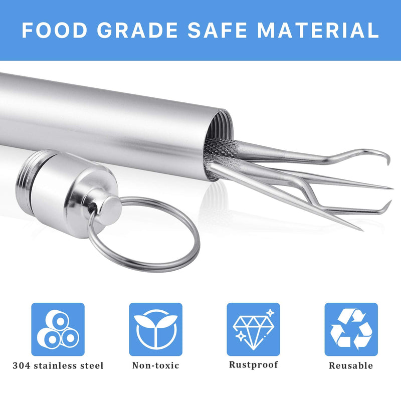 Worldity 5Pcs Portable Toothpicks Set, Portable Reusable Stainless Steel Toothpicks, Professional Teeth Cleaning Tools, Dental Picks with Toothpick Holder and Key Ring for Travel Picnic Camping