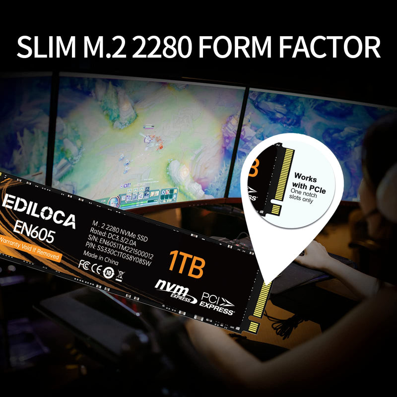 EDILOCA EN605 256GB M.2 SSD, NVMe1.3 PCIe Gen3 x4 SSD Internal Hard Drive, M.2 2280 - Read/Write Speed up to 2150/1300 MB/s - Internal SSD Compatible with Laptop & PC Desktop