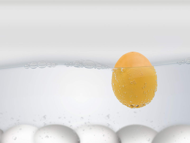 Brainstream BeepEgg Cook Perfect Soft, Medium, or Hard Boiled Favorite Tunes Singing and Floating Egg Timer, Camping