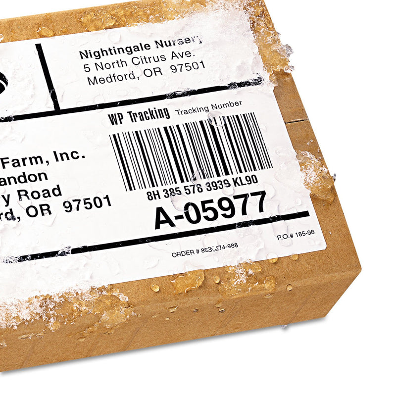 Avery 5526 Wthrproof Mailing Labels, Shipping, 5-1/2-Inch x8-1/2-Inch,100/PK, WE