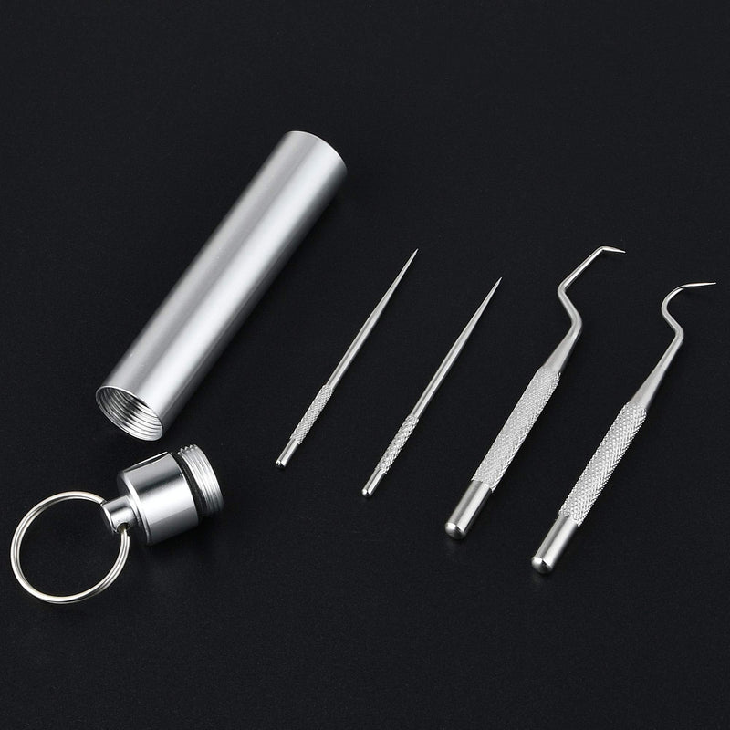 Worldity 5Pcs Portable Toothpicks Set, Portable Reusable Stainless Steel Toothpicks, Professional Teeth Cleaning Tools, Dental Picks with Toothpick Holder and Key Ring for Travel Picnic Camping