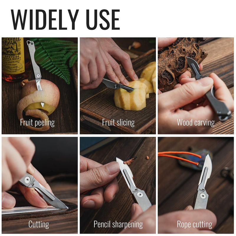 KeyUnity KA14 10pcs #24 Knife Blades Replacement Utility Knife Blade for Arts & Crafts, Plant Cutting, Clay Modeling, Podiatry, Dermaplaning & More