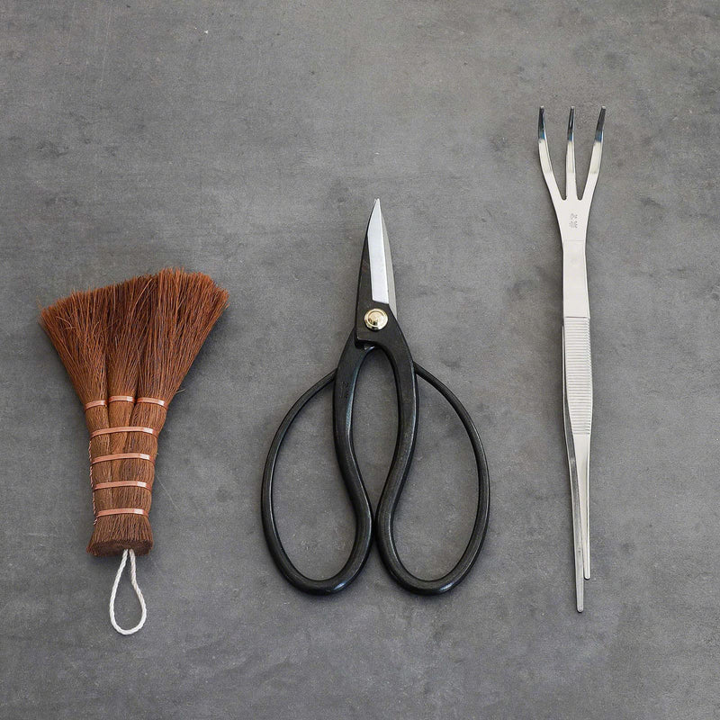 Wazakura Japanese Bonsai Garden 3PCS Tool Starter Kit, Made in Japan, Traditional Bonsai Scissors, Stainless Tweezers with Rake, Chinese Broom. Beginner Set wit Tweezers, Shears and Brush 3PCS Bonsai Set with Bonsai Scissors