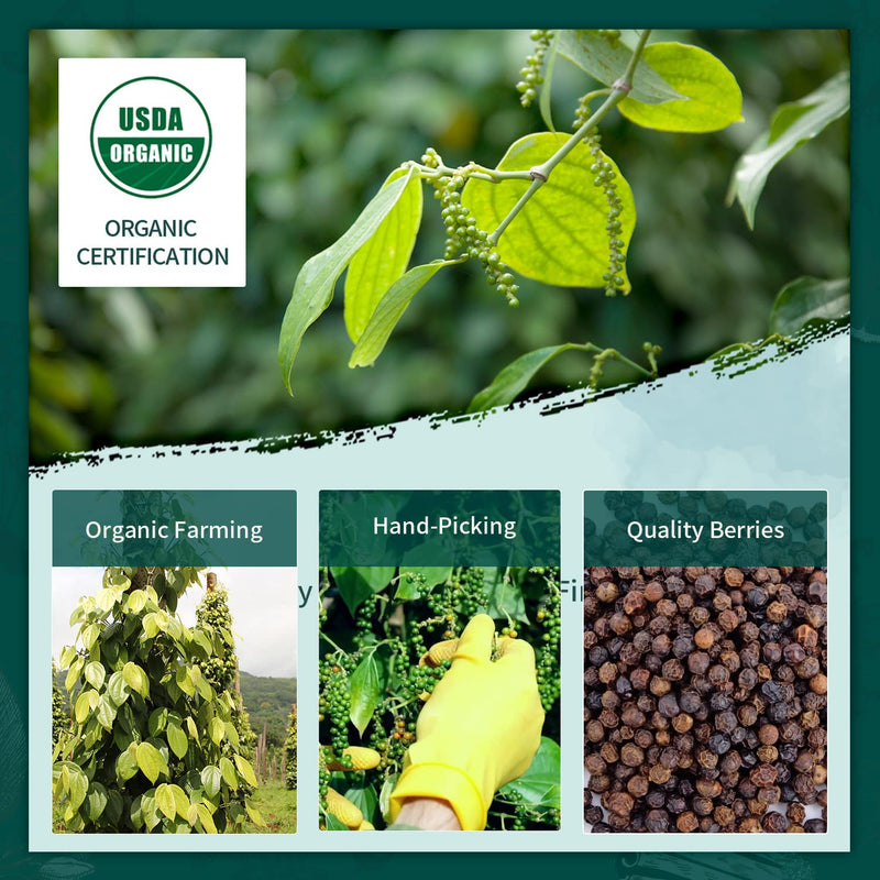 Soeos Organic Ground Black Pepper, 4oz (113g) Black Pepper Powder, Ground Black Peppercorns, USDA ORGANIC, NON-GMO Certified