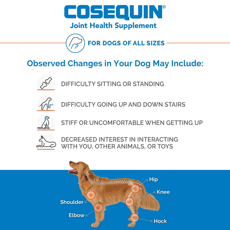 Cosequin Maximum Strength Joint Supplement Plus MSM - with Glucosamine and Chondroitin - for Dogs of All Sizes 60 Count (Pack of 1)
