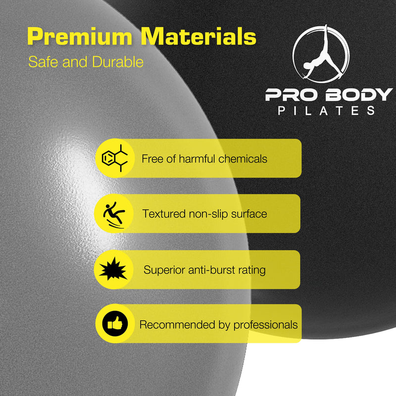 ProBody Pilates Mini Exercise Ball with Pump - 9 Inch Small Bender Ball for Stability, Barre, Pilates, Yoga, Balance, Core Training, Stretching and Physical Therapy with Workout Guide Silver