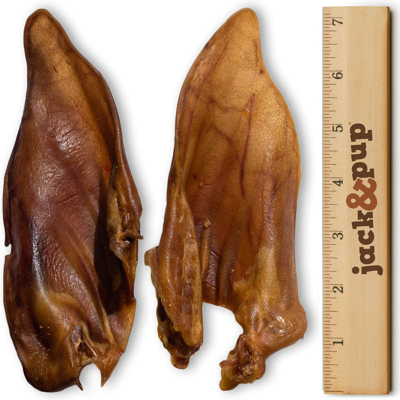 Jack&Pup Whole Pig Ears for Dogs - Extra Thick Large Pigs Ears - Premium Odor Free Dog Pig Ear Treats - Natural Dog Pork Chews; Excellent Rawhide Alternative (10 Pack)
