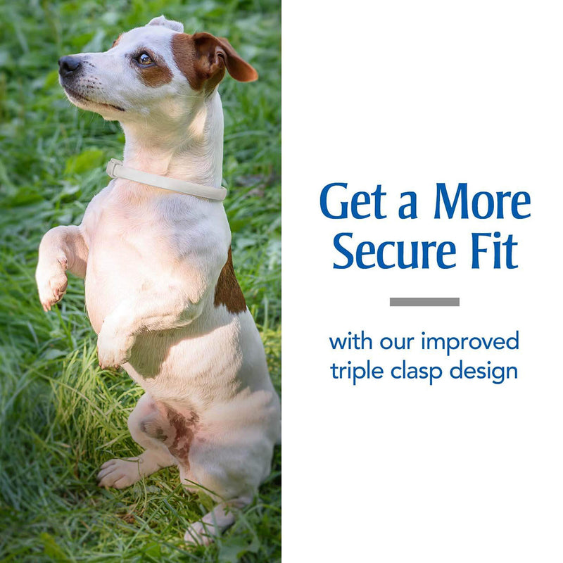 PetArmor Plus Collar for Dogs, (one Size fits All) 1 Count