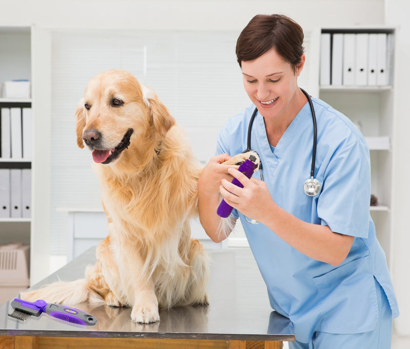 Electric Dog Nail Grinder by Hertzko – Gentle, Painless Paws Grooming, Trimming, Shaping, and Smoothing for Small Medium & Large Dogs, Cats, Rabbits & Birds -Portable & Rechargeable, Includes USB Wire