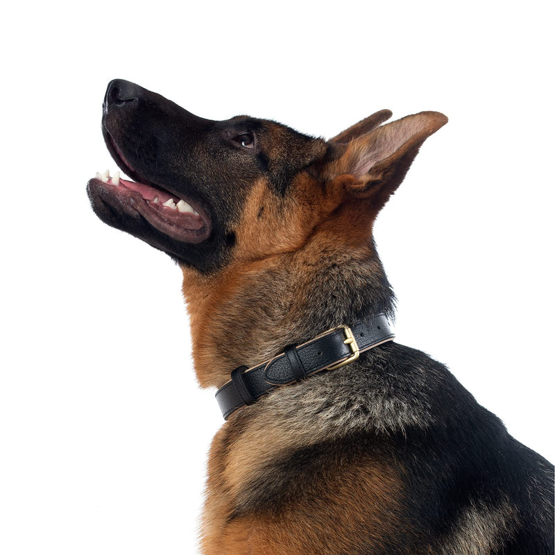 Tanpie Genuine Leather Dog Collar for Large Medium Small Dogs Classic Soft Breathable Waterproof Collars Black Extra Small Extra Small(Pack of 1)