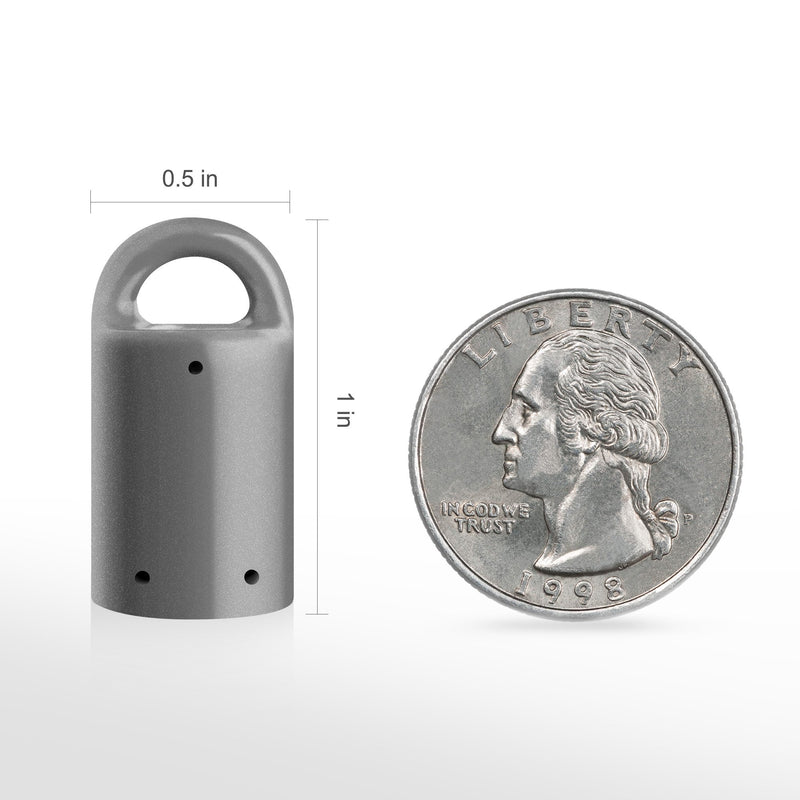 MagnetPal 3 pack Heavy-Duty Neodymium Anti-Rust Magnet, Best for Magnetic Stud Finder / Key Organizer / Indoor and Outdoor Multi Uses, Gray with Key Ring (SP-MPM3GY)