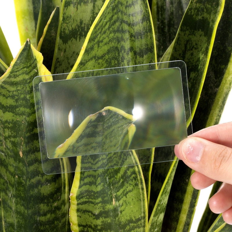 20 Pieces Thin Fresnel Lens Pocket Size Magnifier Lenses Credit Card Magnifier for Reading or Fire Starter