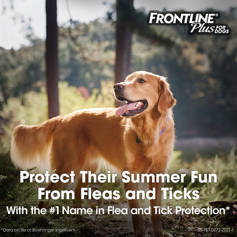 Frontline Plus Flea and Tick Treatment for Dogs (Small Dog, 5-22 Pounds, 3 Doses)