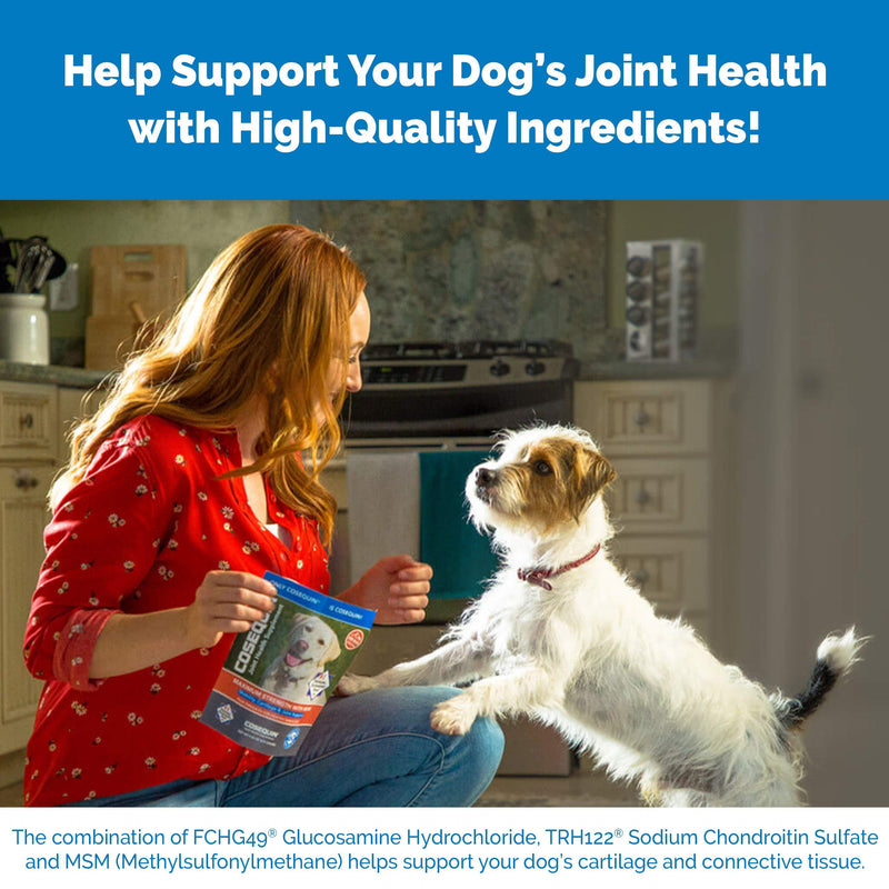 Cosequin Maximum Strength Joint Supplement Plus MSM - with Glucosamine and Chondroitin - for Dogs of All Sizes 60 Count (Pack of 1)