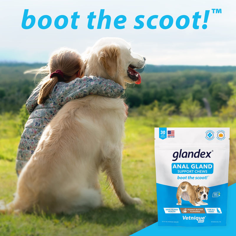 Glandex Anal Gland Peanut Butter Soft Chew 30ct with Dermabliss Anti-Itch & Allergy Relief Medicated Spray Bundle