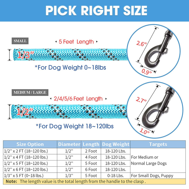 BAAPET 2/4/5/6 FT Strong Dog Leash with Comfortable Padded Handle and Highly Reflective Threads for Small Medium and Large Dogs 1/2'' x 4 FT (18~120 lbs.) Blue