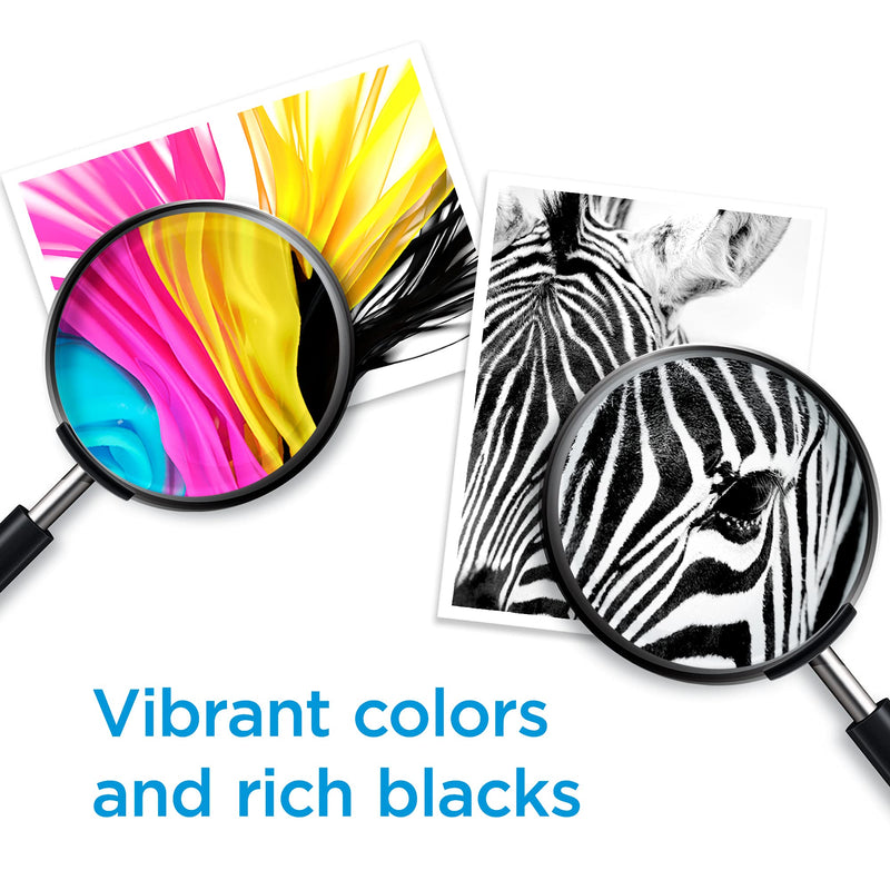 Original HP 65 Tri-color Ink Cartridge | Works with HP AMP 100 Series, HP DeskJet 2600, 3700 Series, HP ENVY 5000 Series | Eligible for Instant Ink | N9K01AN