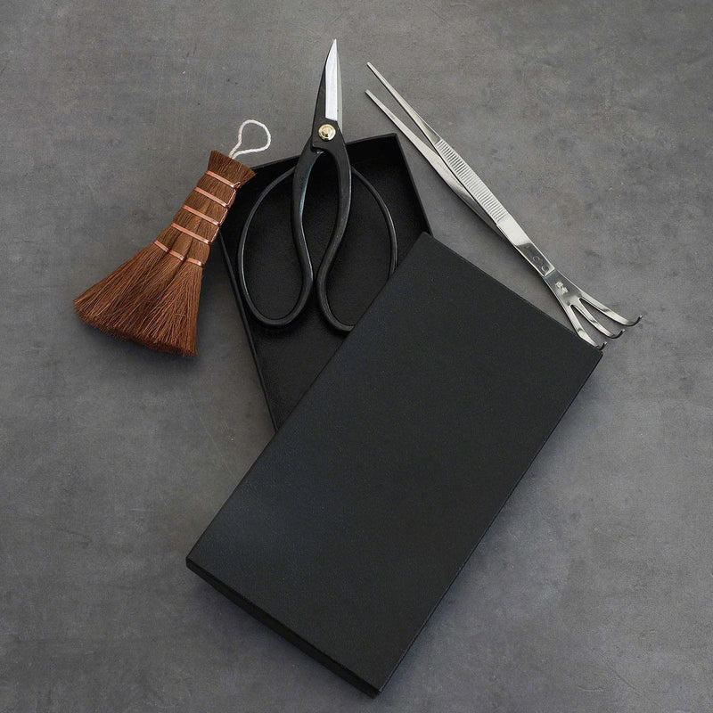 Wazakura Japanese Bonsai Garden 3PCS Tool Starter Kit, Made in Japan, Traditional Bonsai Scissors, Stainless Tweezers with Rake, Chinese Broom. Beginner Set wit Tweezers, Shears and Brush 3PCS Bonsai Set with Bonsai Scissors