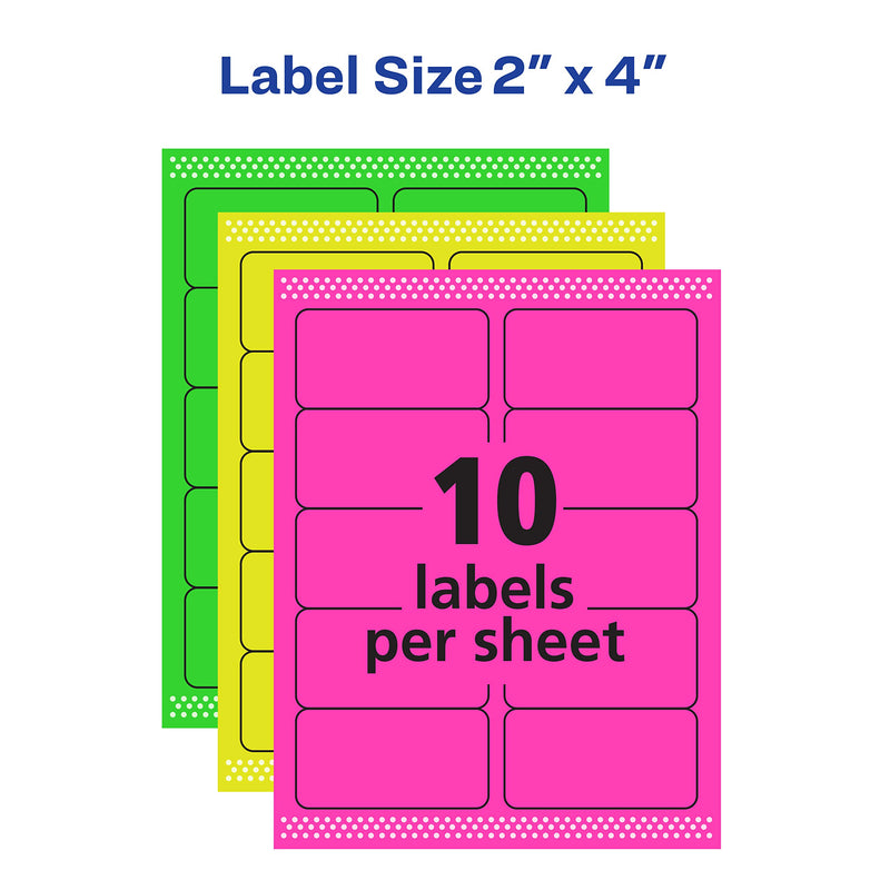 Avery Multipurpose Labels, Removable, Assorted Neon, 2 x 4 Inches, Pack of 120 (6481) 1 Pack