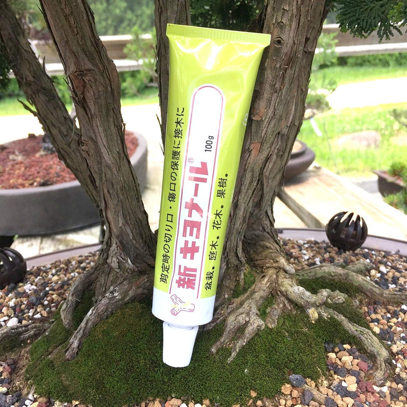 Kiyonal New Bonsai Pruning Cutting Paste 100g Made in Japan