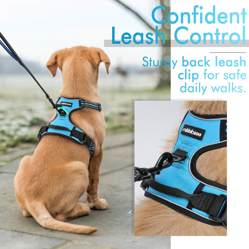 rabbitgoo Dog Harness, No-Pull Pet Harness with 2 Leash Clips, Adjustable Soft Padded Dog Vest, Reflective No-Choke Pet Oxford Vest with Easy Control Handle for Small Dogs, Baby Blue, S
