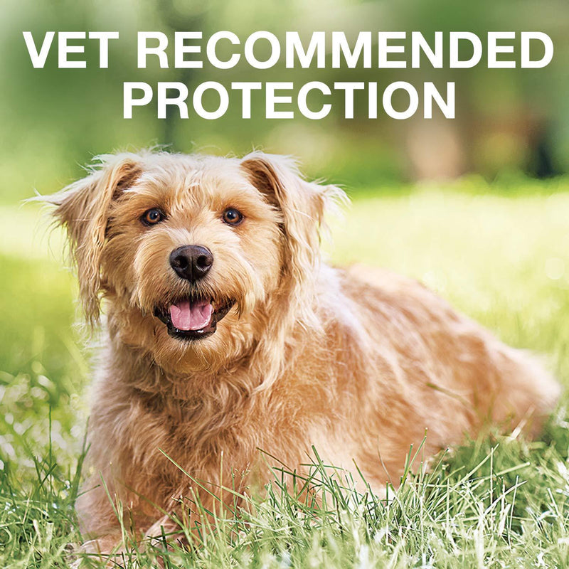 K9 advantix II Flea and Tick Prevention for Large Dogs, 21-55 Pounds 1-pack