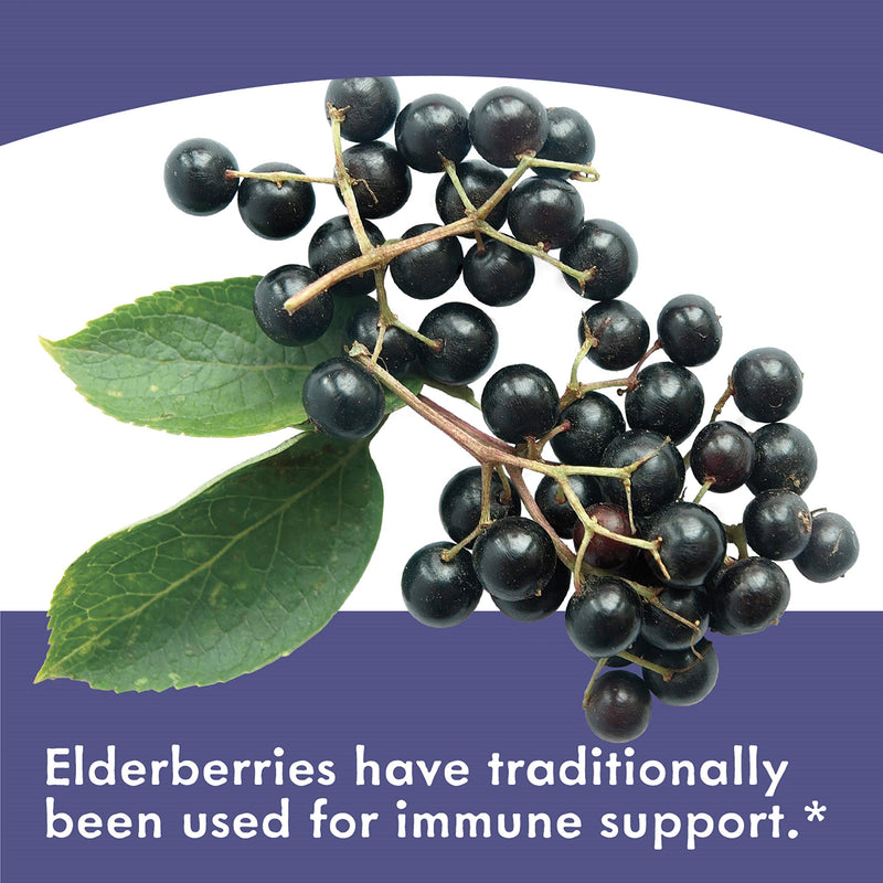 Nature's Way Sambucus Black Elderberry Gummies with Vitamin C and Zinc, 60 Gummies 60 Count (Pack of 1) Purple