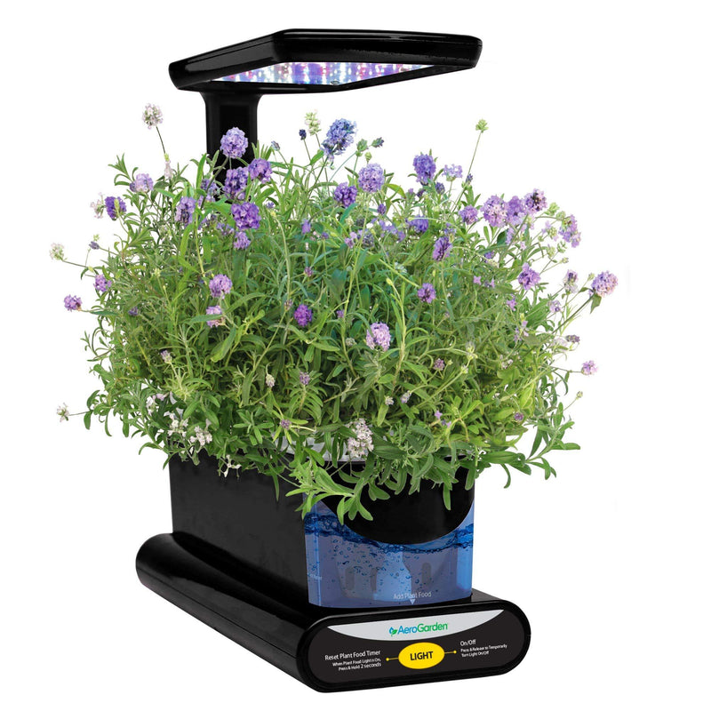 AeroGarden 800357-0208 seed kit, 3-pod