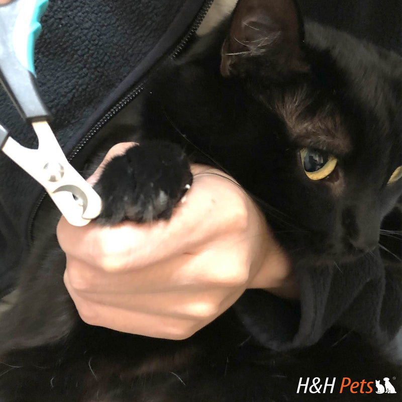 H&H Pets Nail Clipper Series - for Cats and Dogs X-Small (Pack of 1)