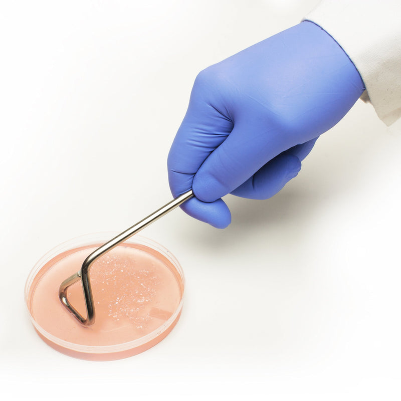 SP Bel-Art Bacterial Cell Spreader for 9cm Plates; Stainless Steel, 1.0 in. Wide Spreading Bar (F37736-0009)