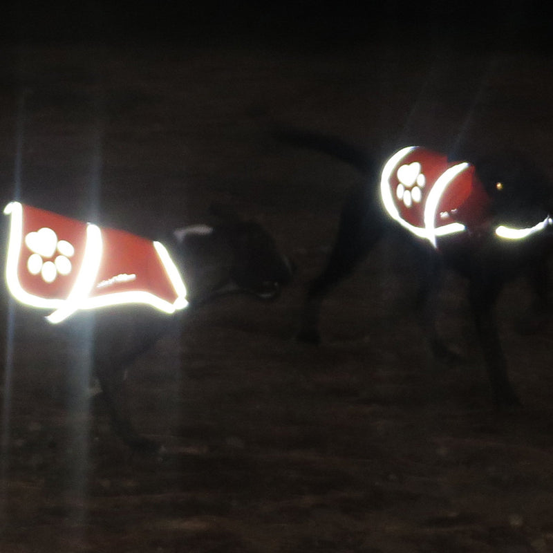 SafetyPUP XD Urban Dog Reflective Vest. Our Fluorescent Hi-Visibility Dog Jacket in Multi-Colors Helps to Safeguard Your PUP in The Outdoors On and Off Leash Large Pink