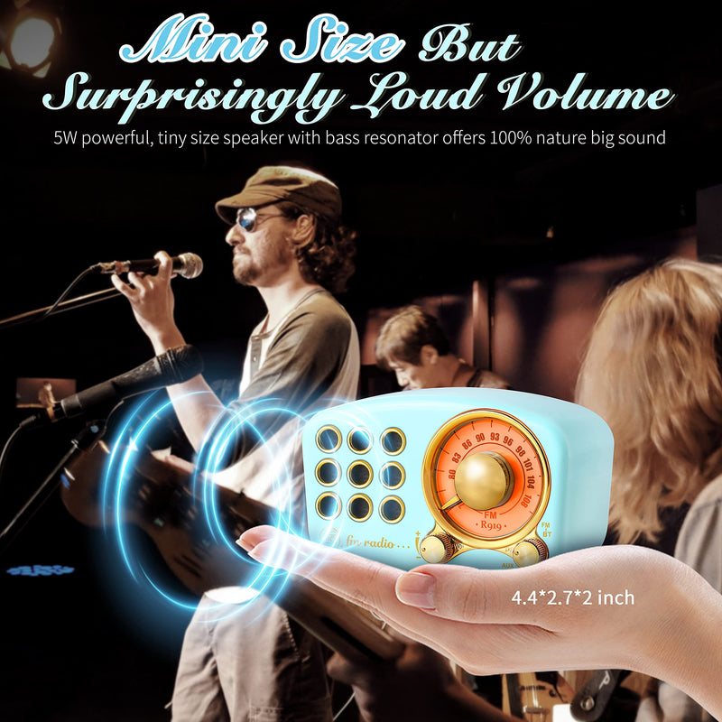 Retro Bluetooth Speaker, Vintage Radio-Greadio FM Radio with Old Fashioned Classic Style, Strong Bass Enhancement, Loud Volume, Bluetooth 4.2 Wireless Connection, TF Card and MP3 Player (Blue) Blue