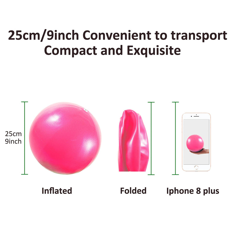Vaupan Mini Exercise Ball, 9 Inch Small Gym Ball with Inflatable Straw for Yoga, Pilates, Stability, Barre, Physical Therapy, Stretching and Core Training, Improves Balance, Strength Pink 1 Pack