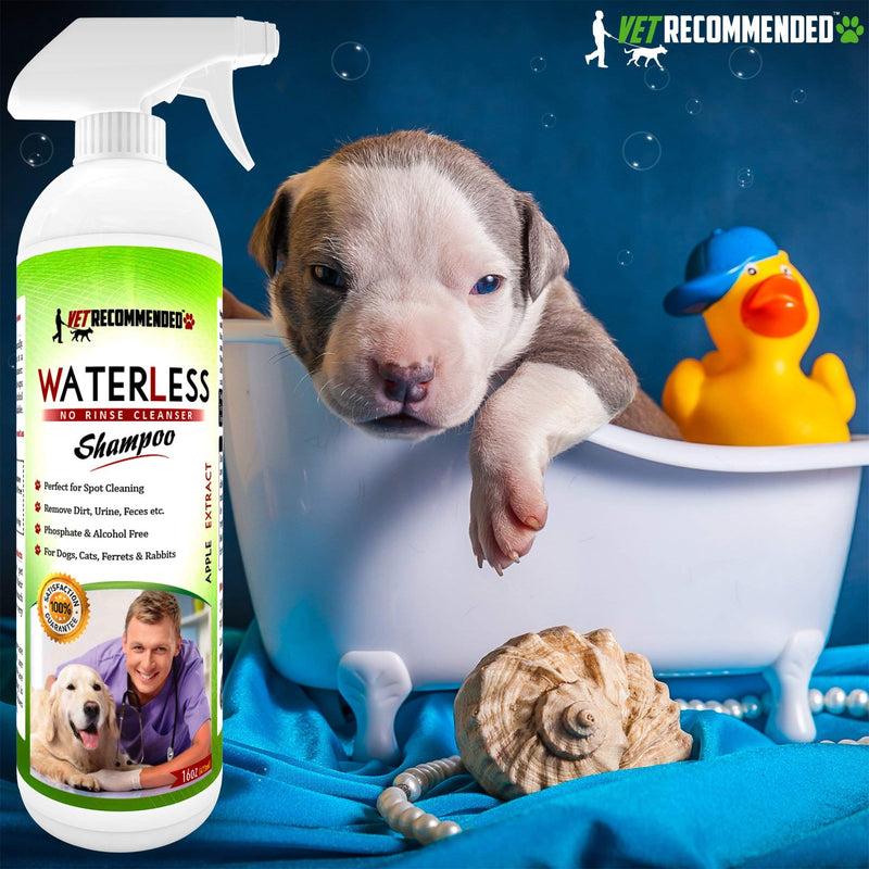 Vet Recommended Waterless Dog Shampoo No Rinse Dry Shampoo for Dogs (16oz/473ml), Detergent and Alcohol Free, Apple Extract - Perfect for Spot Cleaning The Dog Coat - Made in USA
