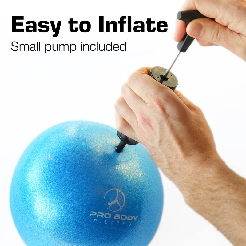 ProBody Pilates Mini Exercise Ball with Pump - 9 Inch Small Bender Ball for Stability, Barre, Pilates, Yoga, Balance, Core Training, Stretching and Physical Therapy with Workout Guide Silver
