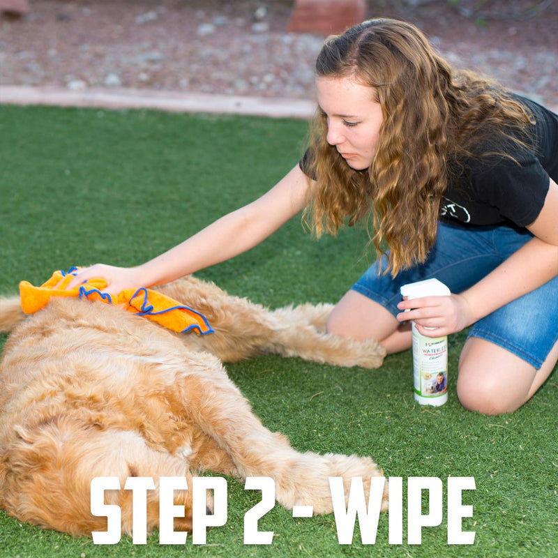 Vet Recommended Waterless Dog Shampoo No Rinse Dry Shampoo for Dogs (16oz/473ml), Detergent and Alcohol Free, Apple Extract - Perfect for Spot Cleaning The Dog Coat - Made in USA