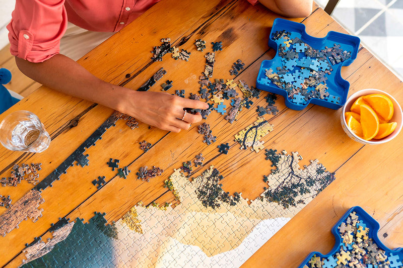 Ravensburger Sort and Go Jigsaw Puzzle Accessory - Sturdy and Easy to Use Plastic Puzzle Shaped Sorting Trays to Organize Puzzles Up to 1000 Pieces