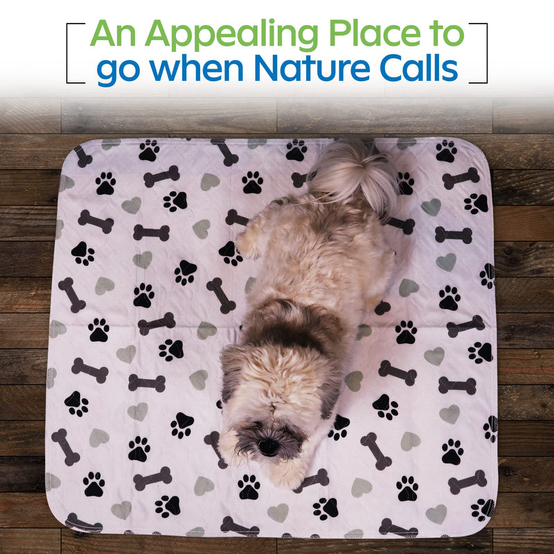 Washable Pee Pads Quilted, Highly Absorbent Puppy Training Pad/Housebreaking Absorption Pads with Anti-Slip Backing (Pack of 2, 30" x 34") 30 x 34 (Pack of 2)