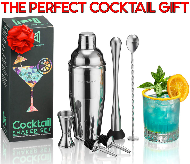 Mixology Cocktail Shaker Set Drink Mixer, 8-piece Portable Bartender Kit with 24oz Martini Shaker Barware Tool Set, 2 Pourers, Muddler, Jigger, Mixing Spoon, Velvet Bag, Built-in Strainer (Silver) Silver
