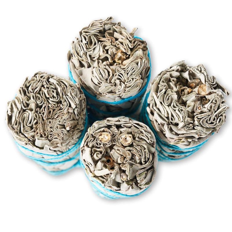 6 Pack White Sage ~ Sage Smudge Sticks for Smudging & Cleansing Energy ~ Bulk / Wholesale ~ Sustainably Grown (6 Pack) 6 Pack